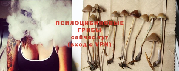 хмурый Балабаново