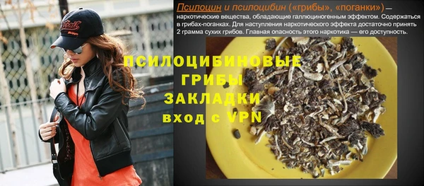 spice Армянск