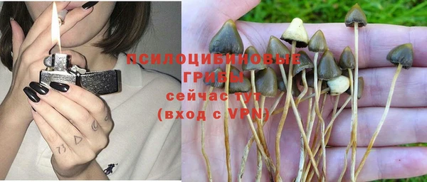 гидра Баксан