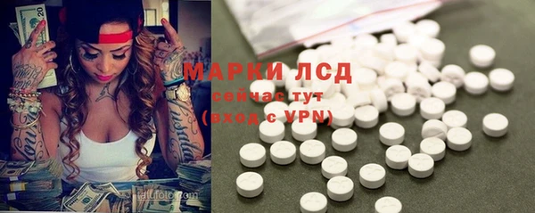 гидра Баксан