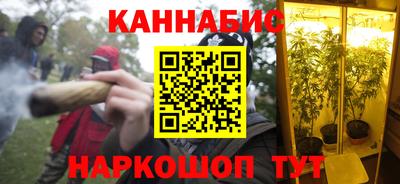 не бодяженный Гай