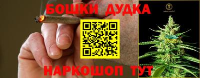 не бодяженный Гай