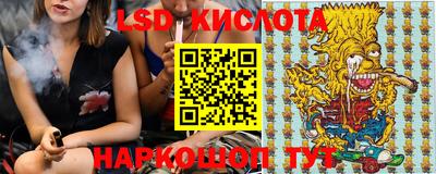 кокс Гатчина