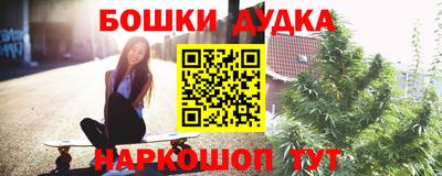 кокс Гатчина
