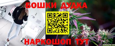 кокс Гатчина