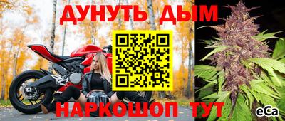 не бодяженный Гай
