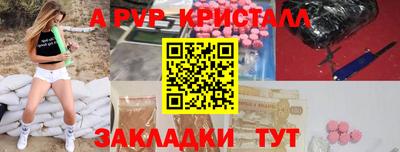 кокс Гатчина