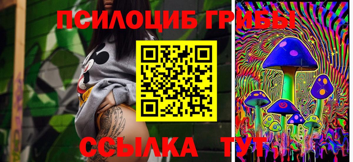 Мурманск  Галлюциногенные грибы Psilocybe  Вход с VPN  Галлюциногенные грибы мухоморы 