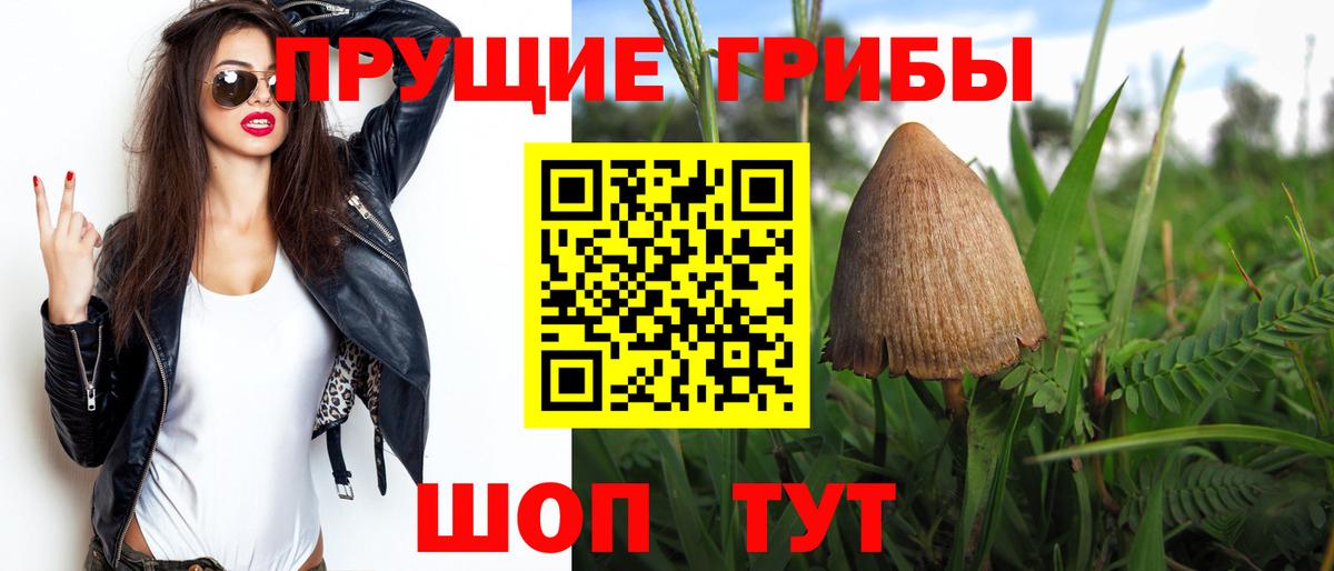 Псилоцибиновые грибы ЛСД Мурманск