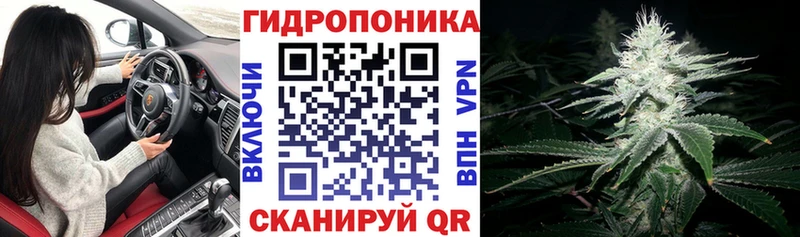Конопля ГИДРОПОН купить наркотики сайты это клад Мурманск